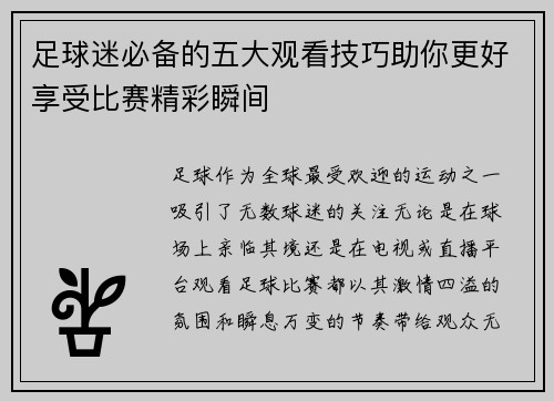 足球迷必备的五大观看技巧助你更好享受比赛精彩瞬间